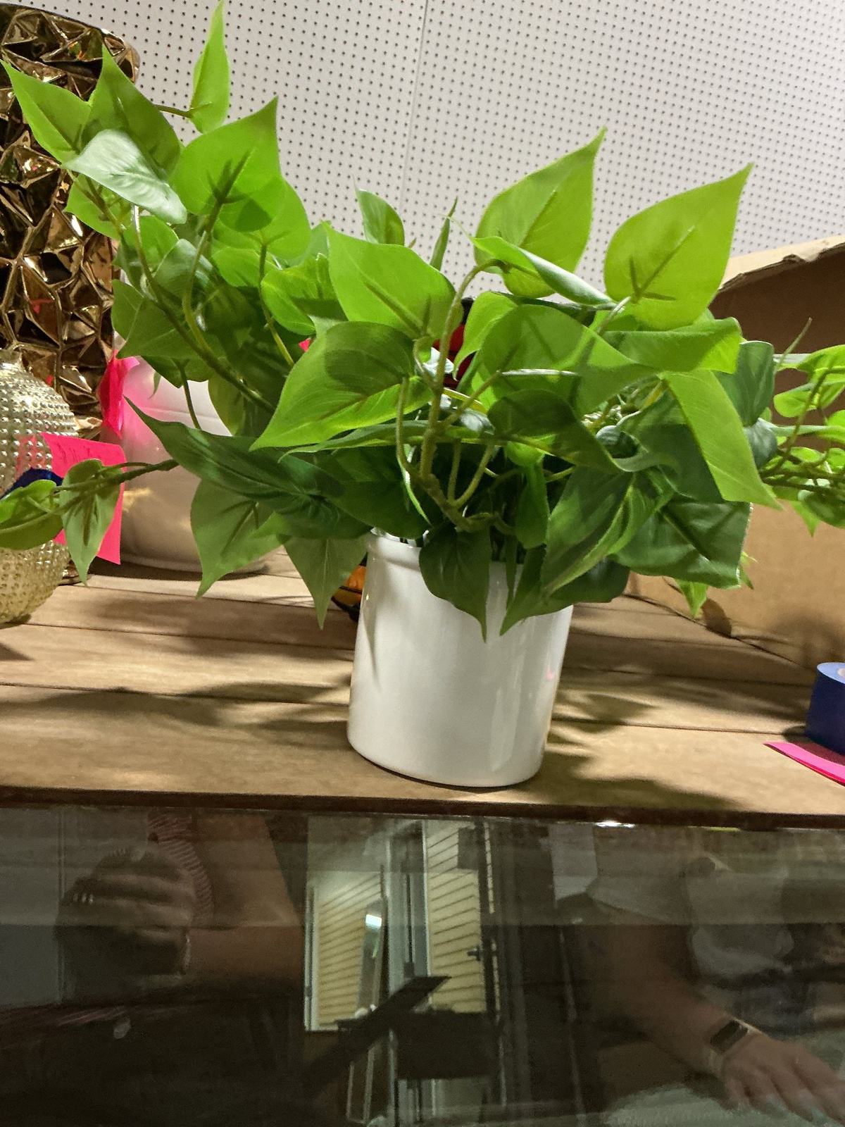 A trailing houseplant and mirrored display detail inside the consignment showroom